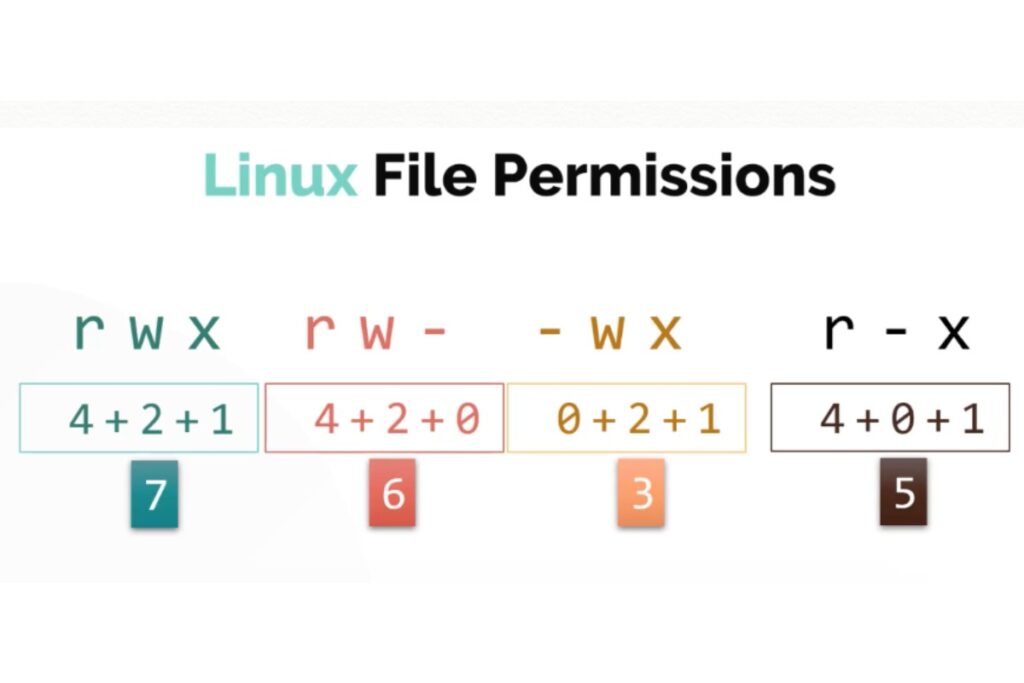 Linux File Permissions