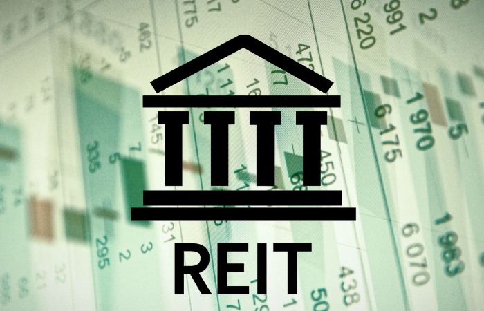 Mitigating Risks in Your REIT Portfolio (Real Estate)